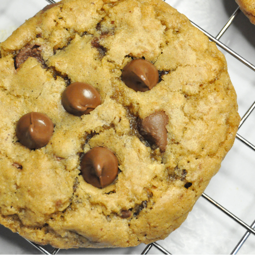 Oatmeal Chocolate Chip Cookies