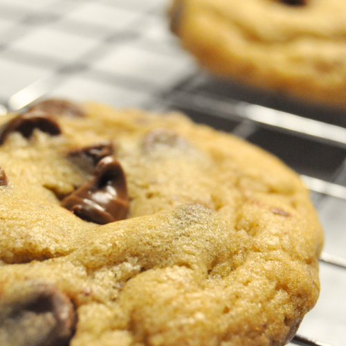 Brown Butter Chocolate Chip Cookies 
