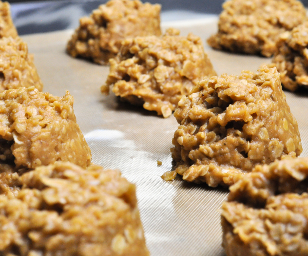 Vegan No Bake Peanut Butter Cookies
